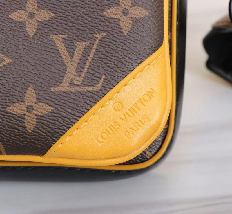 LV Satchel bags